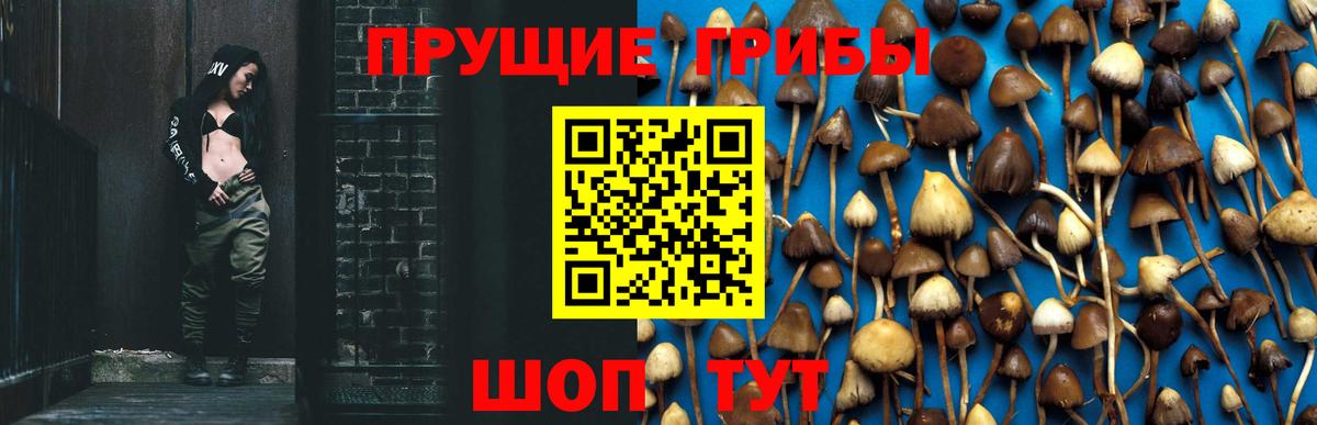 Псилоцибиновые грибы GOLDEN TEACHER Ивантеевка