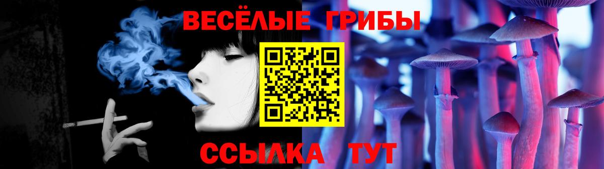 как найти   Вход с VPN  Ивантеевка  Псилоцибиновые грибы ЛСД 